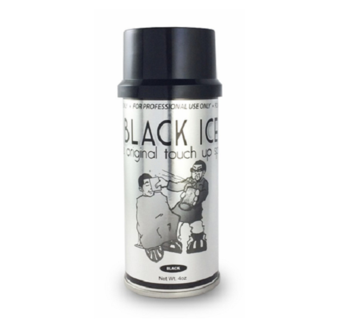 BLACK ICE Original Touch Up Spray Black 4oz